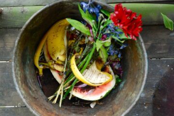 La moneda navarra que incentiva la recogida selectiva de residuos