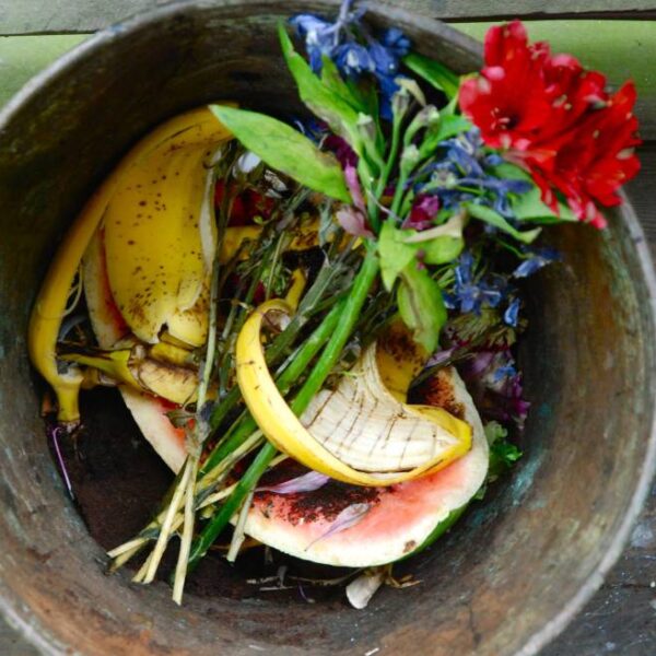 La moneda navarra que incentiva la recogida selectiva de residuos