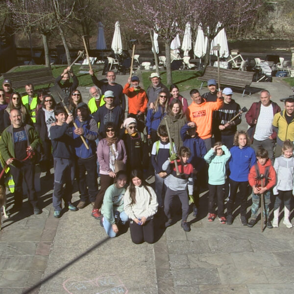 REAS planta 400 árboles para compensar su huella de CO2